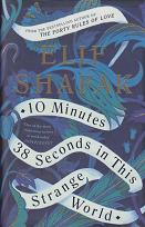 10 Minutes 38 Seconds in this Strange World by Elif Shafak